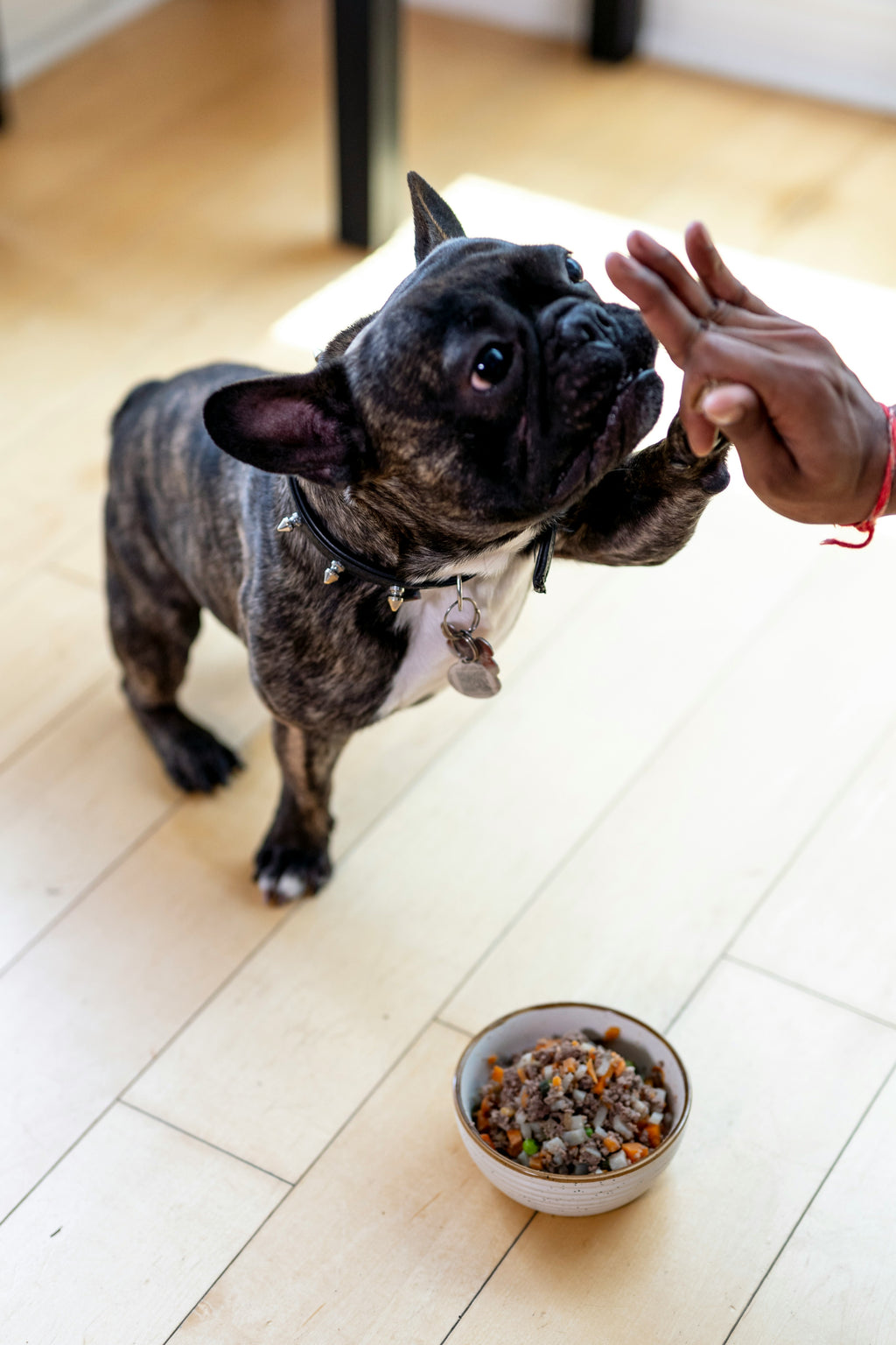 The Balanced Bowl: 30 Science-Backed Homemade Dog Food Recipes